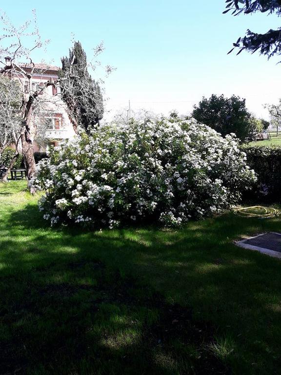 Cascina La Scala Apartman Salò Kültér fotó